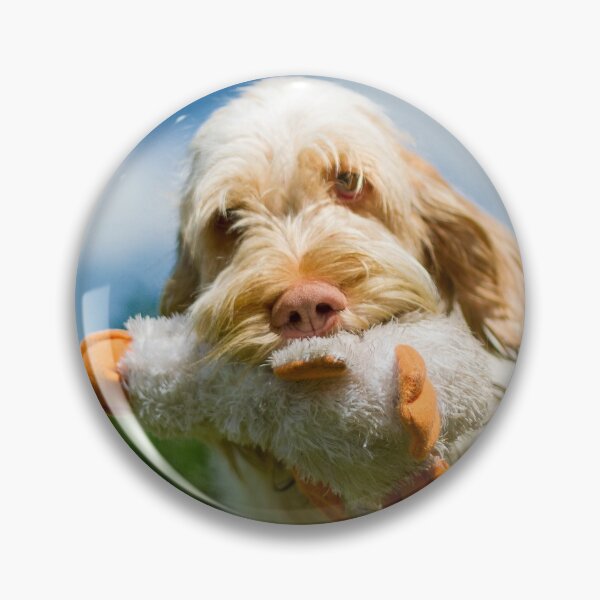 Item preview, Bird dog Spinone designed and sold by FOLK ART FUSION.