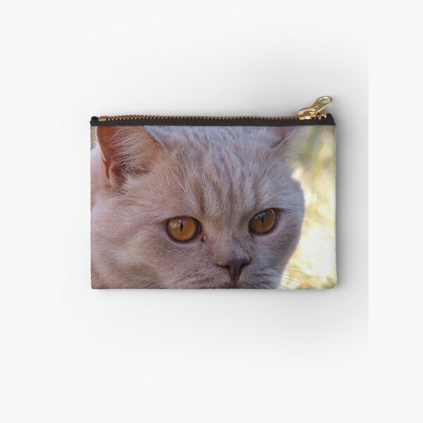 Item preview, Henry Cat designed and sold by Belinda Piffero.