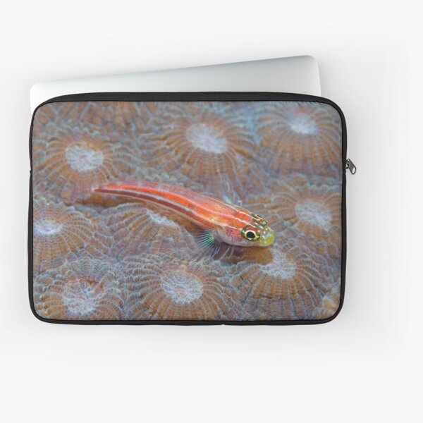 Goby Laptop Sleeve