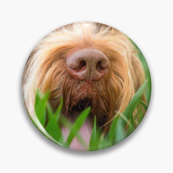 Artikelvorschau, Wo versteckst du Spinone entworfen und verkauft von FOLK ART FUSION.