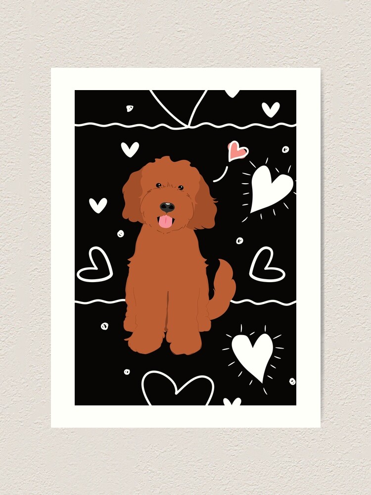 Ruby goldendoodle best sale