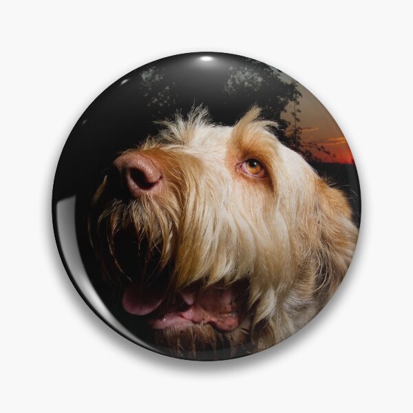 Artikelvorschau, Sonnenuntergang Spinone entworfen und verkauft von FOLK ART FUSION.