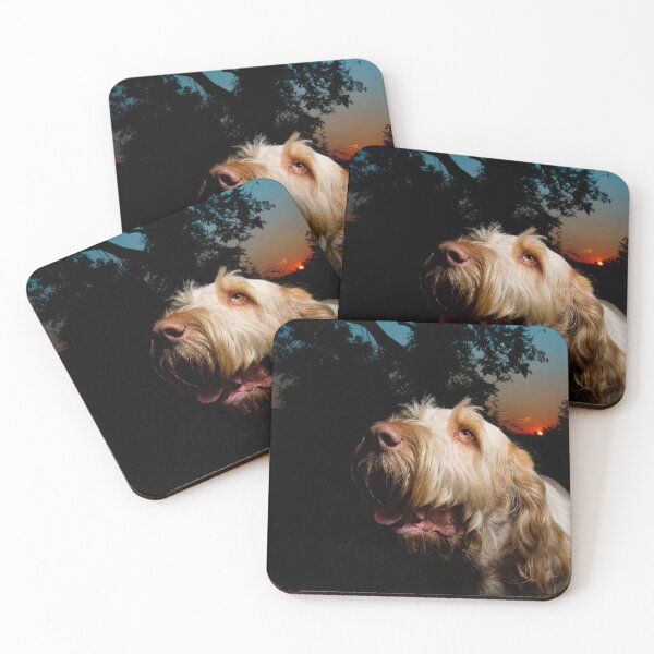 Item preview, Sunset Spinone designed and sold by FOLK ART FUSION by heidiannemorris.