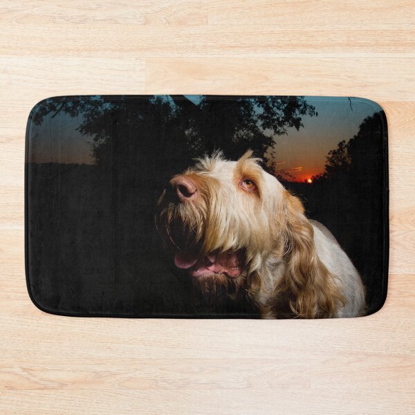 Artikelvorschau, Sonnenuntergang Spinone entworfen und verkauft von FOLK ART FUSION by heidiannemorris.