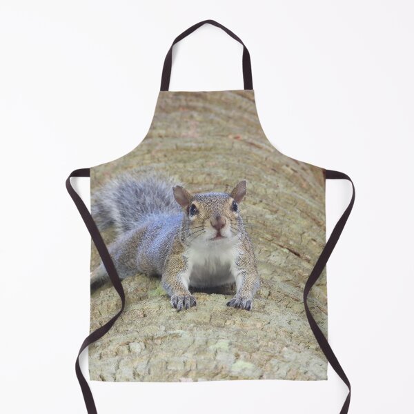 Item preview, Cute Squirrel #0006 designed and sold by Jeffrey Mask.