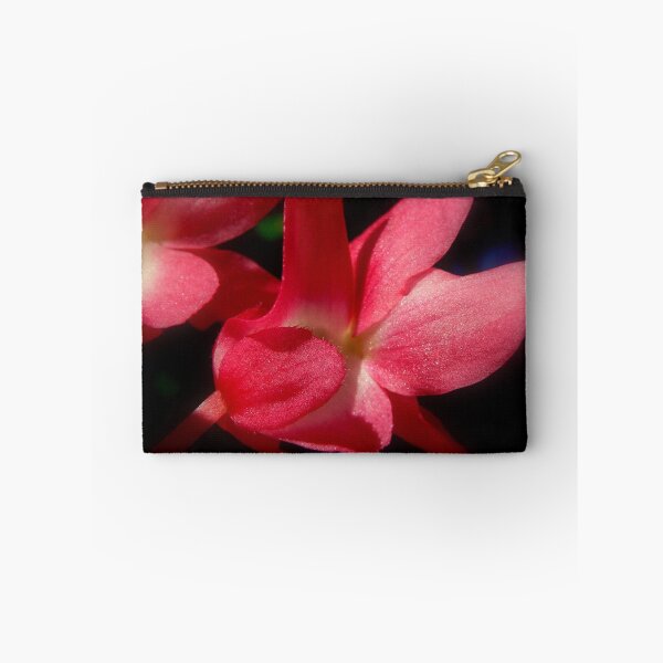 Item preview, Begonia designed and sold by margotk.