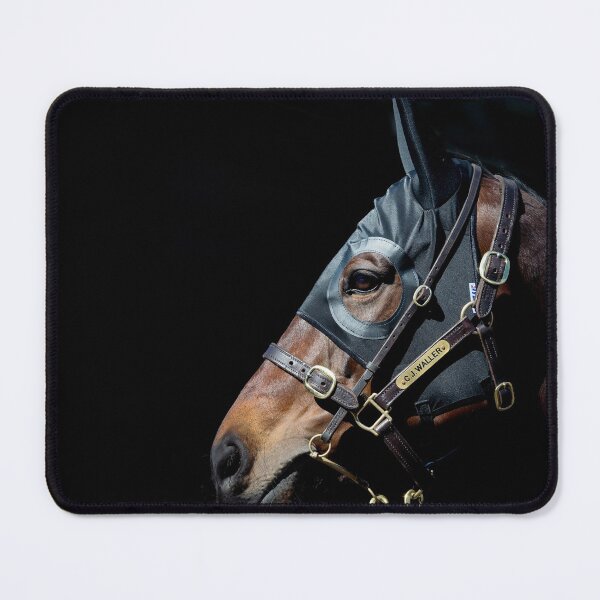 Item preview, Winx - Racehorse designed and sold by FastTrackPhotog.
