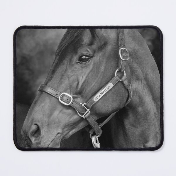 Item preview, Winx - Farewell to A Champion  designed and sold by FastTrackPhotog.