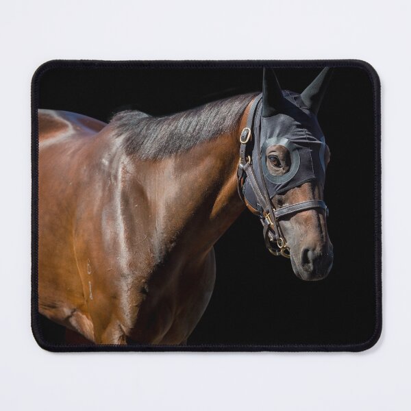 Item preview, Winx - With Hood - Farewell Tour  designed and sold by FastTrackPhotog.