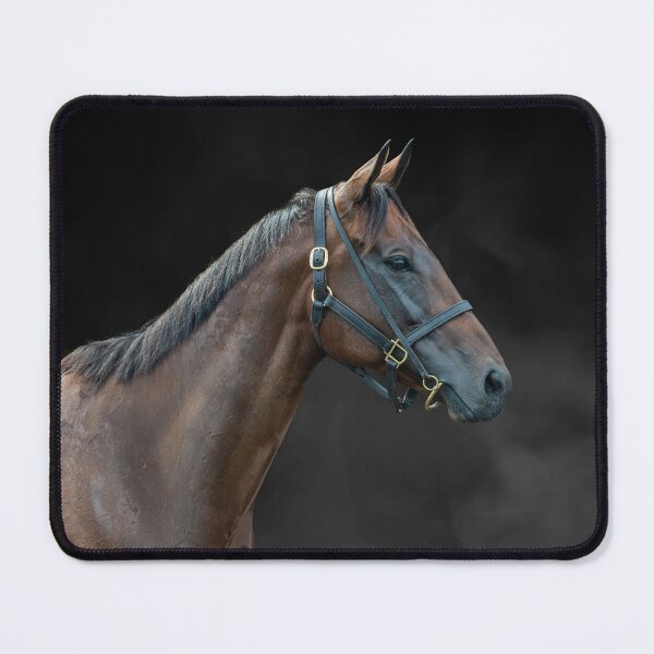 Item preview, Winx - Colour - The Rosehill Farewell  designed and sold by FastTrackPhotog.
