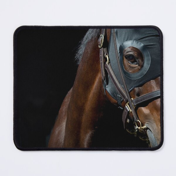 Item preview, Winx - With Hood  designed and sold by FastTrackPhotog.