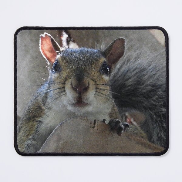 Item preview, Cute Squirrel #0008 designed and sold by Jeffrey Mask.