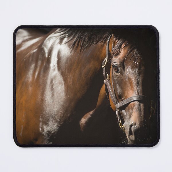 Item preview, Winx - In The Shadows  designed and sold by FastTrackPhotog.