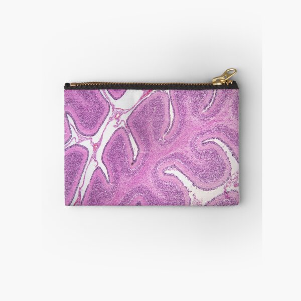 Item preview, Cerebellum 4x designed and sold by Douglas Gaston IV.