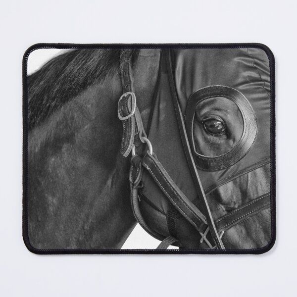 Item preview, WINX - THE EYE OF A CHAMPION - NEW designed and sold by FastTrackPhotog.