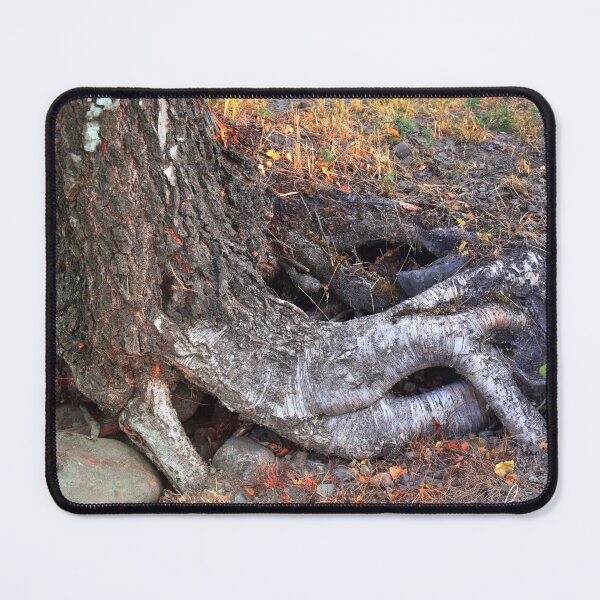 Item preview, Eaten by the tree designed and sold by Bente Agerup.