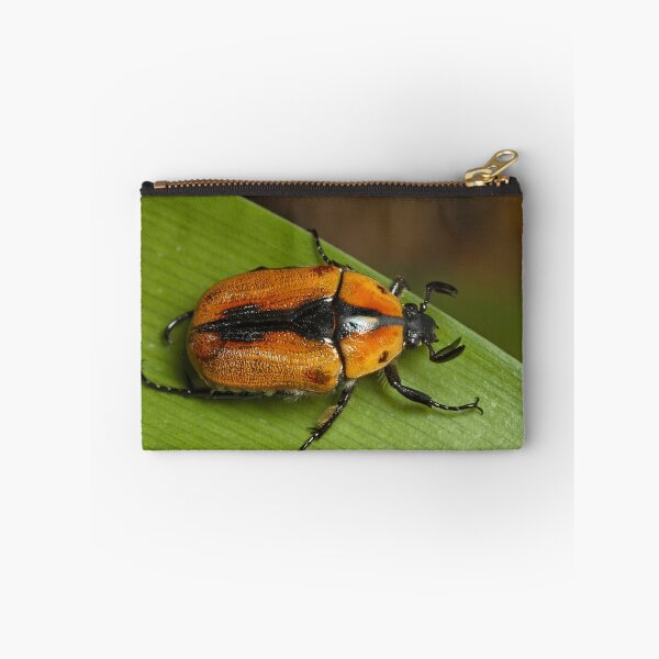 Item preview, Christmas Beetle designed and sold by Colin  Ewington.