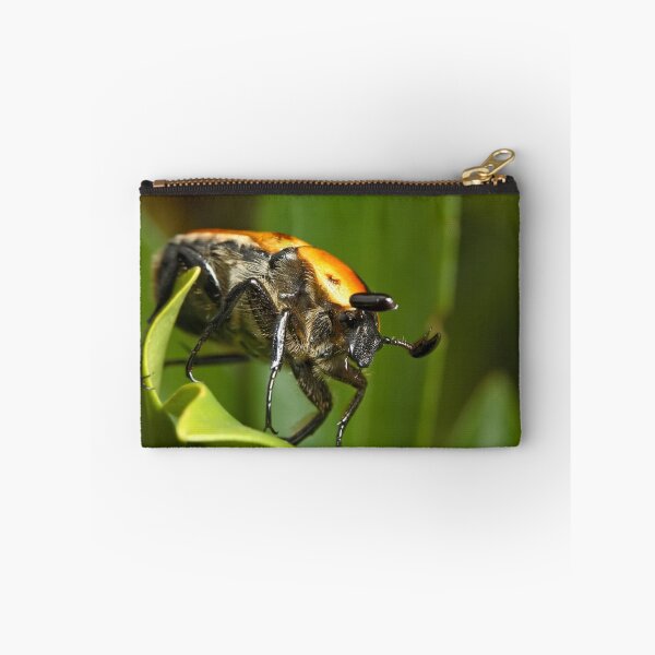 Item preview, Christmas Beetle designed and sold by Colin  Ewington.