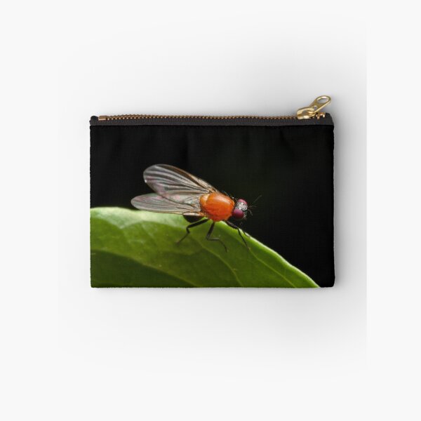 Item preview, Vinegar Fly designed and sold by Colin  Ewington.