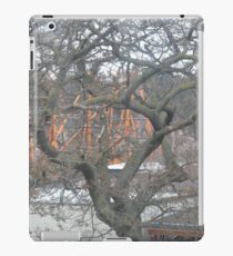 Austrian winter tree iPad Case/Skin