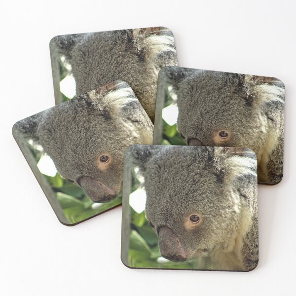 Item preview, Koala Bear Face Closeup Portrait designed and sold by worldways.