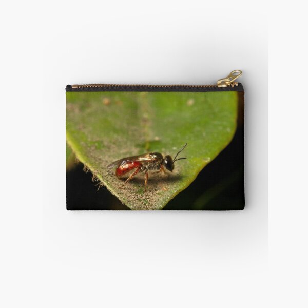 Item preview, Insect designed and sold by Colin  Ewington.