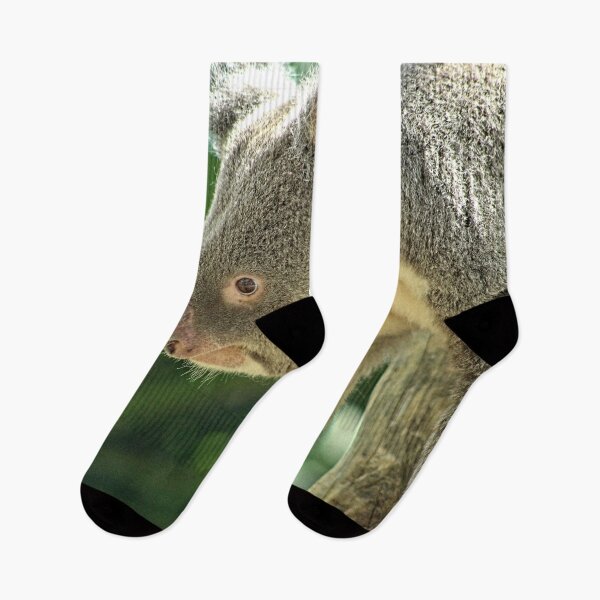 Item preview, Koala Bear Walking Closeup Portrait designed and sold by worldways.