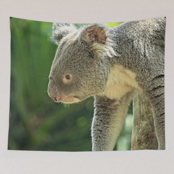 Item preview, Koala Bear Walking Closeup Portrait designed and sold by worldways.