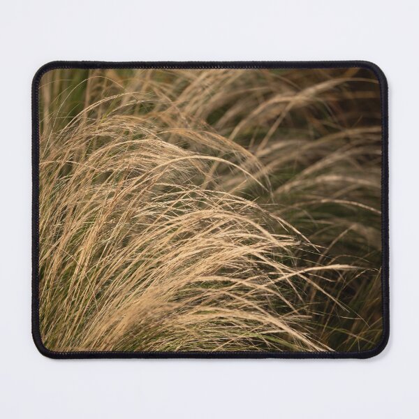 Item preview, Grasses in winter designed and sold by ccullen222.
