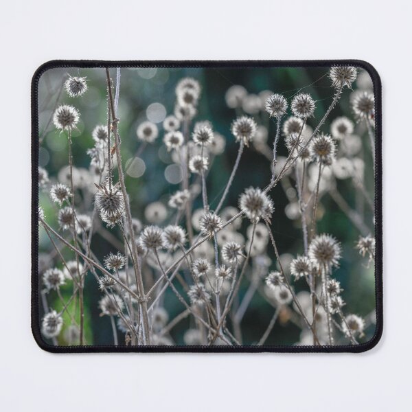 Item preview, Winter seedheads designed and sold by ccullen222.