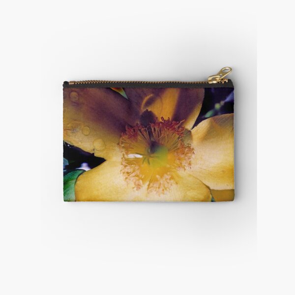 Item preview, Specimen  designed and sold by Carl Gaynor.