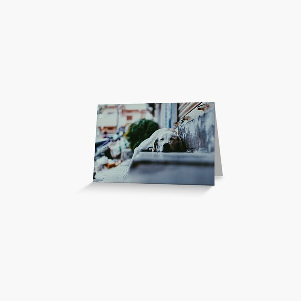 dog Greeting Card