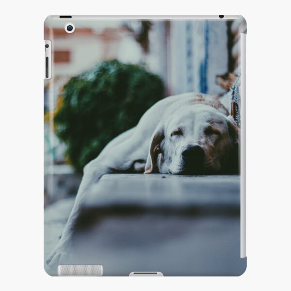 dog iPad Snap Case