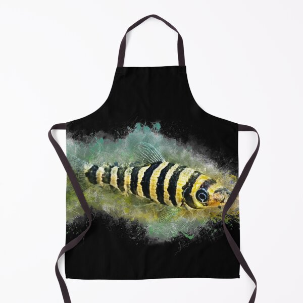 Item preview, Banded Leporinus - Leporinus fasciatus designed and sold by AquariumLutter.