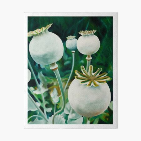 Art Board Print