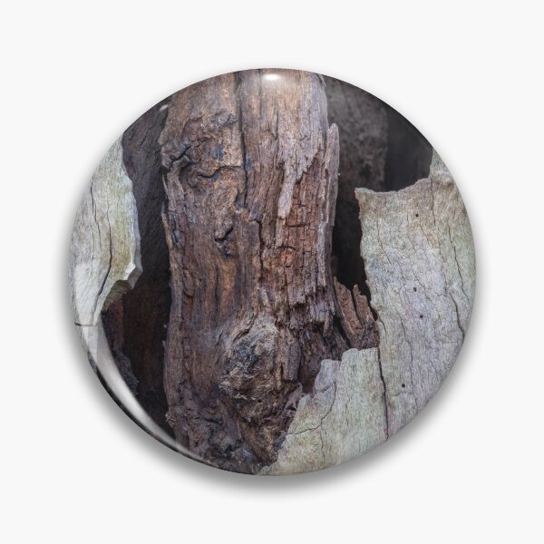 Item preview, Dead oak tree trunk designed and sold by ccullen222.