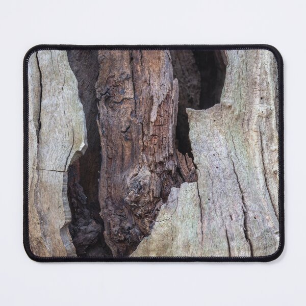 Item preview, Dead oak tree trunk designed and sold by ccullen222.