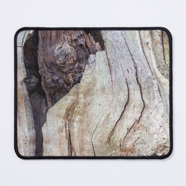 Item preview, Dead oak tree designed and sold by ccullen222.
