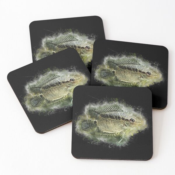 Item preview, Flag cichlid - Mesonauta festivus designed and sold by AquariumLutter.