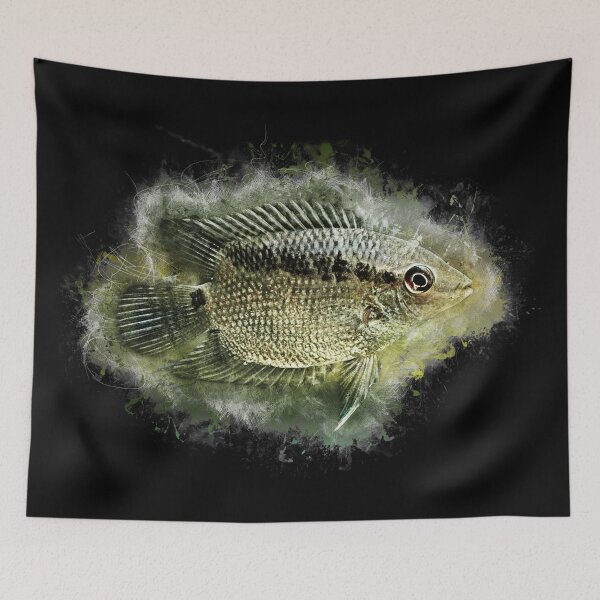 Item preview, Flag cichlid - Mesonauta festivus designed and sold by AquariumLutter.