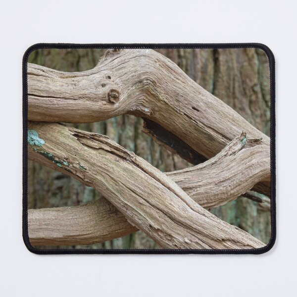 Item preview, Fallen oak designed and sold by ccullen222.