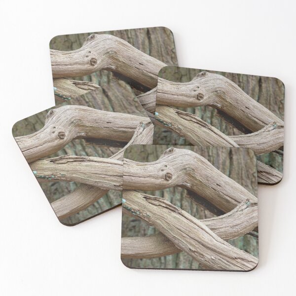 Item preview, Fallen oak designed and sold by ccullen222.