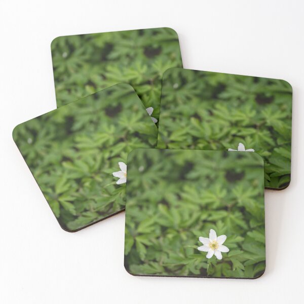 Item preview, Wood Anemone ( Anemone Nemorosa ) designed and sold by ccullen222.