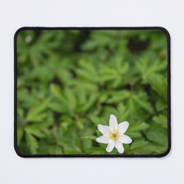Item preview, Wood Anemone ( Anemone Nemorosa ) designed and sold by ccullen222.