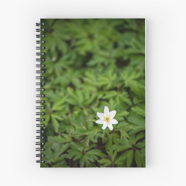 Item preview, Wood Anemone ( Anemone Nemorosa ) designed and sold by ccullen222.