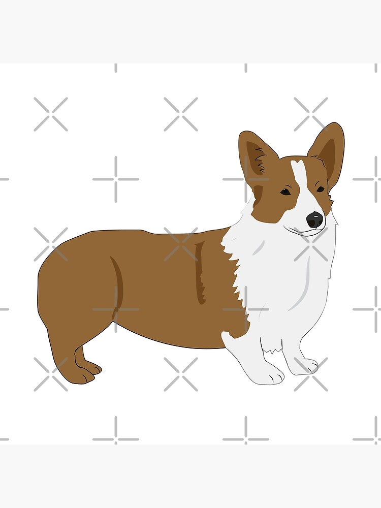 corgi shop