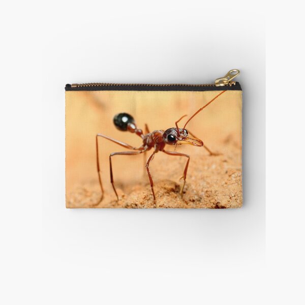 Item preview, Bulldog Ant designed and sold by Gareth Chalklen.