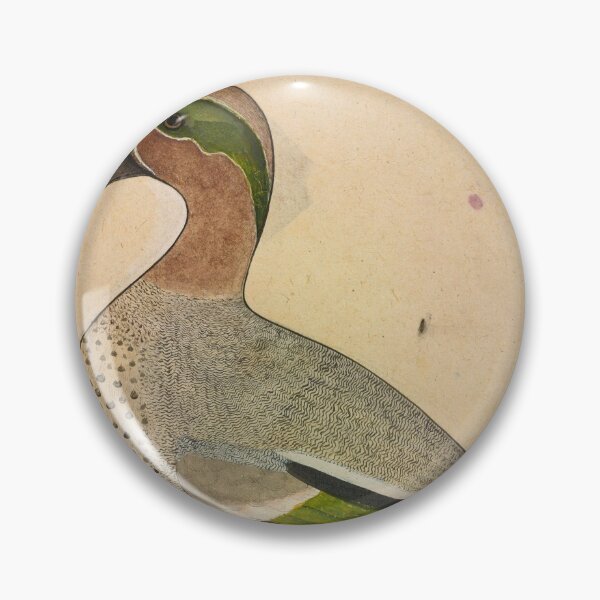 Item preview, A Green-winged Teal designed and sold by HinduArtGallery.