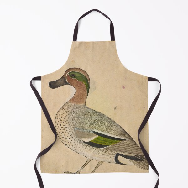 Item preview, A Green-winged Teal designed and sold by HinduArtGallery.