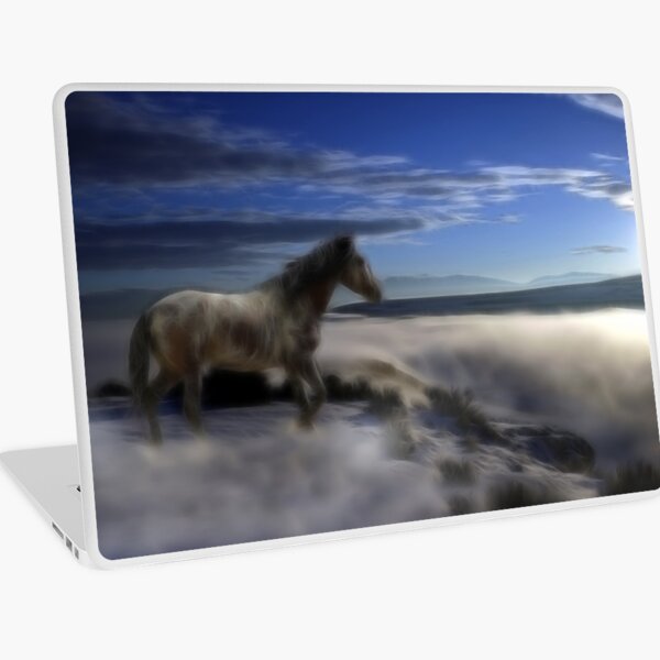 Dream-Mare Laptop Skin
